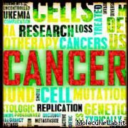 Grafica cancro