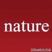 Il logo della rivista scientifica Nature