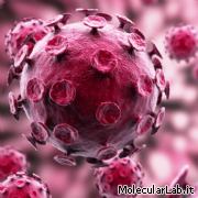 Virus