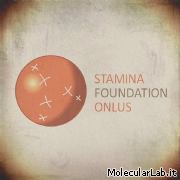 Stamina Foundation