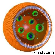 Cellula eucariote realizzata in polimeri plastici