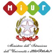 Miur: Ministero Istruzione Universita e Ricerca