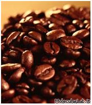 Caffe