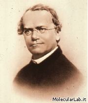 Gregor Mendel, padre della genetica