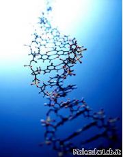 Rappresentazione DNA