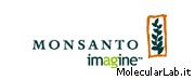 Monsanto