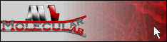 Banner MolecularLab.it