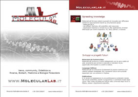 Media Kit