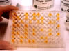 Tecnica ELISA