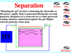 Animazione SDS-PAGE: Guarda ora