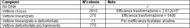 Risultato della trasformazione