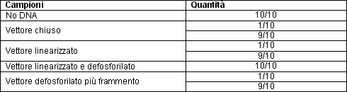 Schema cell competenti