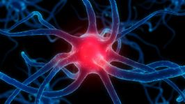 Neurone