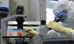 Ricercatore in laboratorio