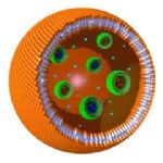 Cellula eucariote realizzata in polimeri plastici