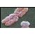 Studio sull'ornitorinco rivela strana costituzione genetica