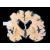 Alzheimer simile a malattie da prioni