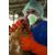 Le differenze genetiche in H5N1
