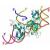 La regolazione dei fattori epigenetici