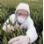 Via libera Ue a primo prodotto geneticamente modificato dopo anni di oscurantismo