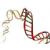 Un test del Dna per diagnosticare i tumori