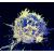 Diagnosticare la malattia di Gaucher