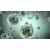 Stop ai finanziamenti per virus mutanti