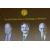Premio Nobel Medicina 2013