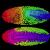 Ricostruita l'embriogenesi cellula per cellula