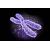 Nuovo sistema per rafforzare pluripotenza cellule