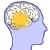 Il cervello usa diversi canali di pensiero