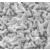 Salmonella usata come killer per cellule tumorali