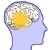 Il cervello usa diversi canali di pensiero