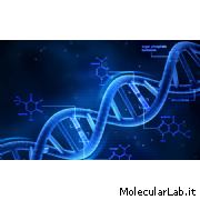 Rappresentazione filamento doppia elica DNA