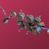 Nucleosoma ed istoni